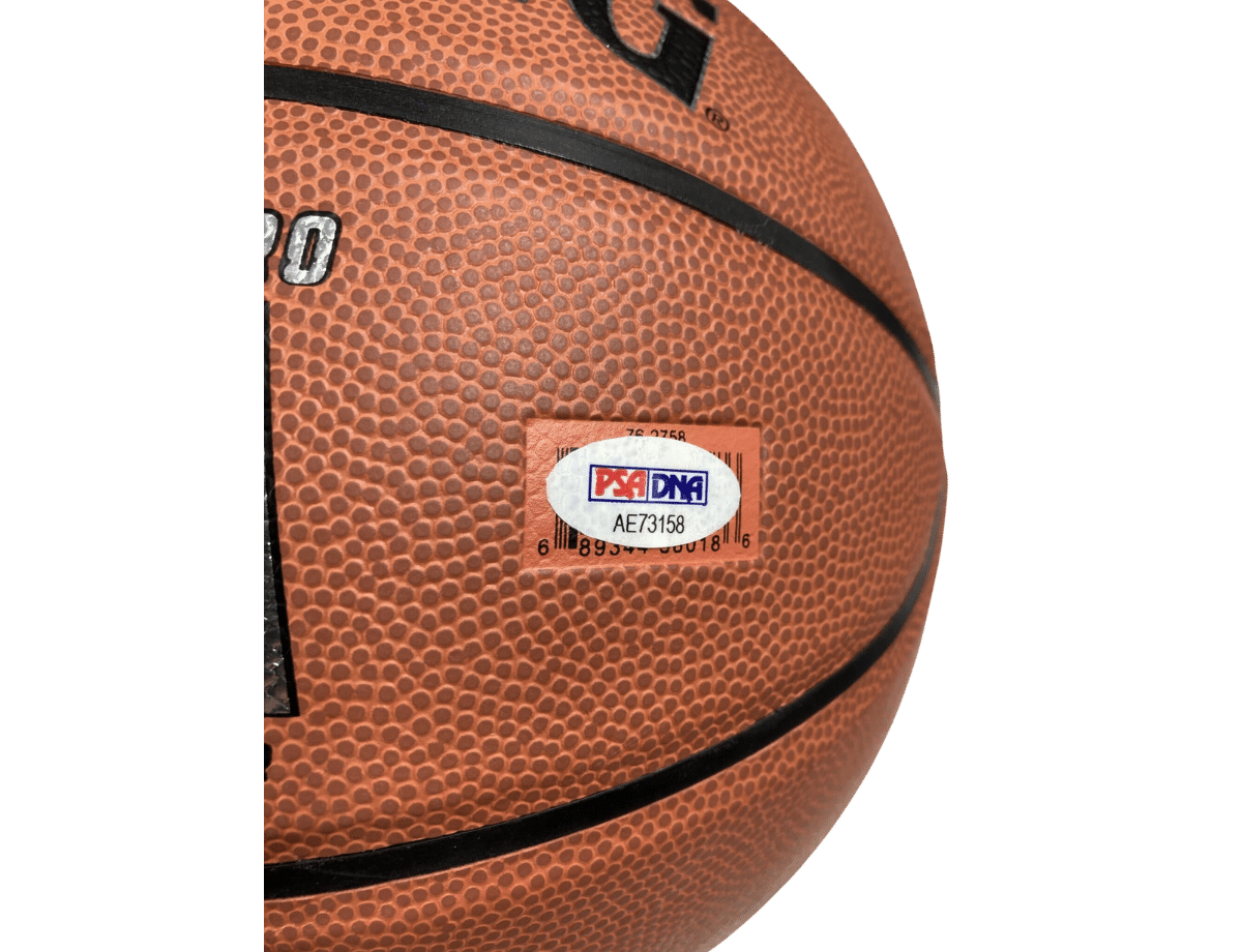Terry Rozier Charlotte Hornets Authentic Signed Spalding Basketball w/ Silver Signature [AE 73158] &ndash; Trace 'n Chase | Trading Cards and Memorabilia &ndash; Shop Trading Cards, Autographs and Supplies