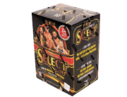 2024 Panini Select WWE